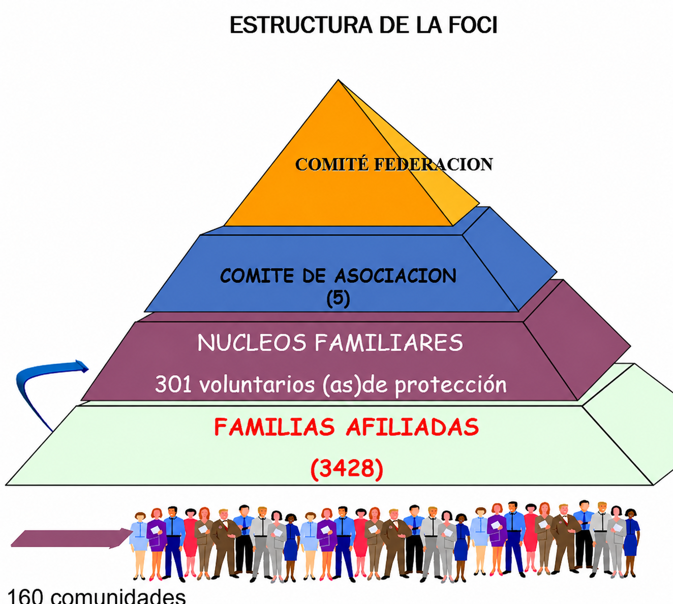 Estructura organizacional piramidal de la FOCI: Comité de Federación, Comités de Asociación (5), Núcleos Familiares con 301 voluntarios de protección y Familias Afiliadas en 160 comunidades